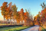 Autumn Back Road At Sunrise_17826